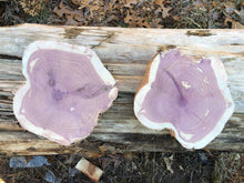 Load image into Gallery viewer, 2 set of 7” SANDED Red Cedar Wood Cookie Slice Slab Round Centerpiece Rustic Live Edge Wedding Crafts