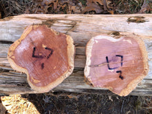 Load image into Gallery viewer, 2 set of 7” SANDED Red Cedar Wood Cookie Slice Slab Round Centerpiece Rustic Live Edge Wedding Crafts