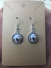 Load image into Gallery viewer, English Bull Dog Breed Earrings Dangle/Drop or Stud 12mm
