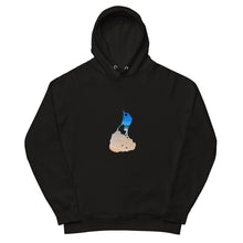 Load image into Gallery viewer, Block Island Organic Unisex pullover hoodie
