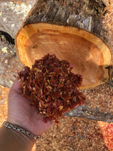 Load image into Gallery viewer, Aromatic Red Cedar Shavings from New England 1 Gallon
