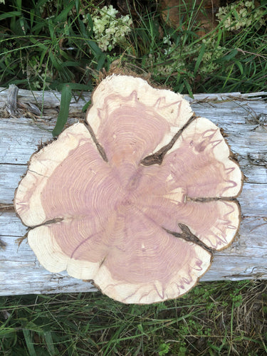10x10” SANDED red cedar rustic slice cookie slab round centerpiece live edge—free gift with purchase! Wedding, crafts and more!