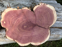 Load image into Gallery viewer, 2 Gorgeous 9.5x7” SANDED red rustic cedar slices cookies slabs rounds centerpiece live edge—free gift! Wedding, crafts and more!—unique!
