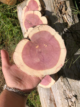 Load image into Gallery viewer, 6 Gorgeous 5” SANDED red cedar rustic slices cookies slabs rounds centerpiece live edge—free gift with purchase! Wedding, crafts and more!
