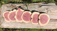 Load image into Gallery viewer, 6 Gorgeous 5” SANDED red cedar rustic slices cookies slabs rounds centerpiece live edge—free gift with purchase! Wedding, crafts and more!
