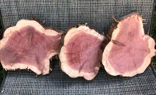 3 Gorgeous 6”-7” SANDED red cedar slices cookies slabsrounds centerpiece live edge—free gift with purchase! Wedding, crafts, Rustic