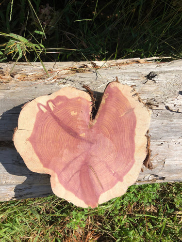 10”x9.5” SANDED red cedar heart Rustic slice/cookie/slab/round centerpiece live edge—free gift with purchase! Wedding, crafts and more!