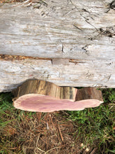 Load image into Gallery viewer, 12” Sanded Red cedar Rustic slice cookie slab round centerpiece live edge—free gift with purchase! Wedding, crafts and more!

