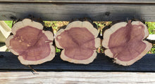 Load image into Gallery viewer, 3 Gorgeous 9” SANDED red cedar slices cookies slabsrounds centerpiece live edge—free gift with purchase! Wedding, crafts, Rustic
