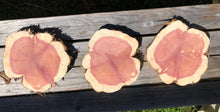 Load image into Gallery viewer, 3 Gorgeous 9” SANDED red cedar slices cookies slabsrounds centerpiece live edge—free gift with purchase! Wedding, crafts, Rustic
