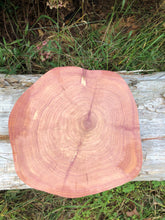 Load image into Gallery viewer, 12” Red cedar wood slice, tree slab, for centerpieces, wedding decor, large wood round 2” thick SANDED
