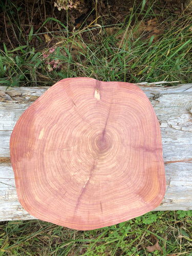12” Red cedar wood slice, tree slab, for centerpieces, wedding decor, large wood round 2” thick SANDED