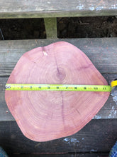 Load image into Gallery viewer, 12” Red cedar wood slice, tree slab, for centerpieces, wedding decor, large wood round 2” thick SANDED
