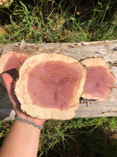 Load image into Gallery viewer, 4 Gorgeous 6” SANDED red cedar rusticslices/cookies/slabs/rounds centerpiece live edge—free gift with purchase! Wedding, crafts and more!
