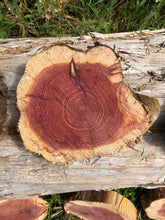 Load image into Gallery viewer, 10Gorgeous 6”-7” red cedar rustic slicescookies slabs rounds centerpiece live edge—free gift with purchase! Wedding, crafts and more!
