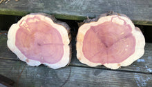 Load image into Gallery viewer, 9”X8” set of 2 SANDED Red cedar slice cookie slab round centerpiece live edge—free gift with purchase! Wedding, crafts and more!
