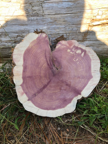 9” SANDED red cedar Heart  rustic slice cookie slab round centerpiece live edge—free gift with purchase! Wedding, crafts and more!