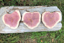 Load image into Gallery viewer, 3 Gorgeous 8” red cedar slices/cookies/slabs/rounds centerpiece live edge—free gift with purchase! Wedding, crafts, Rustic
