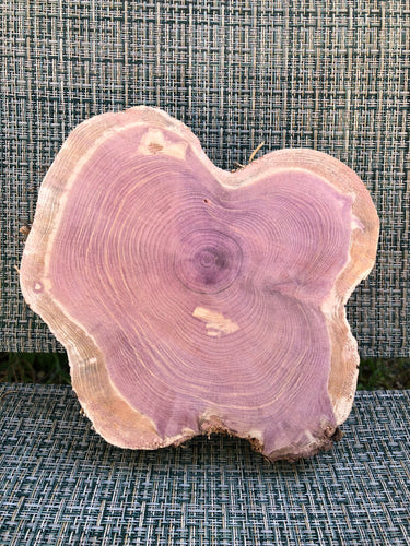 9” SANDED red cedar rustic slice cookie slab round centerpiece live edge—free gift with purchase! Wedding, crafts and more!