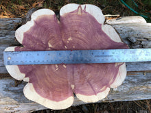 Load image into Gallery viewer, 12” Red cedar wood slice, tree slab, for centerpieces, wedding decor, large wood round

