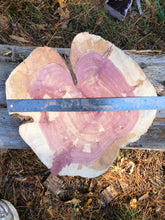 Load image into Gallery viewer, 14” Red cedar wood slice, tree slab, for centerpieces, wedding decor, large wood round
