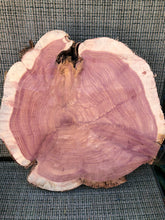 Load image into Gallery viewer, 15” Red cedar wood slice, tree slab, for centerpieces, wedding decor, large wood round
