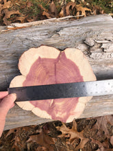 Load image into Gallery viewer, 2 Gorgeous 7” red cedar slices/cookies/slabs/rounds centerpiece live edge—free gift with purchase! Wedding, crafts, Rustic
