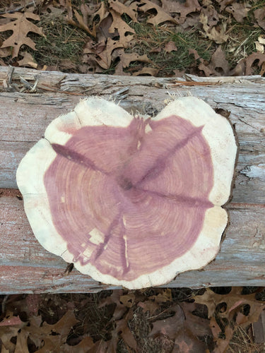 9” SANDED red cedar Rustic slice/cookie/slab/round centerpiece live edge—free gift with purchase! Wedding, crafts and more!