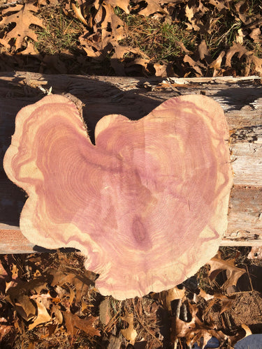 13” Red cedar wood slice, tree slab, for centerpieces, wedding decor, large wood round