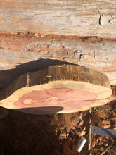 Load image into Gallery viewer, 13” Red cedar wood slice, tree slab, for centerpieces, wedding decor, large wood round
