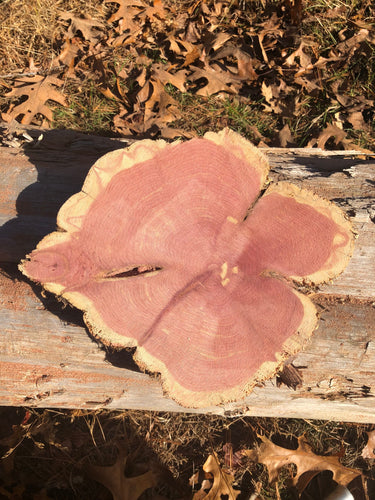 11” Red cedar wood slice, tree slab, for centerpieces, wedding decor, large wood round