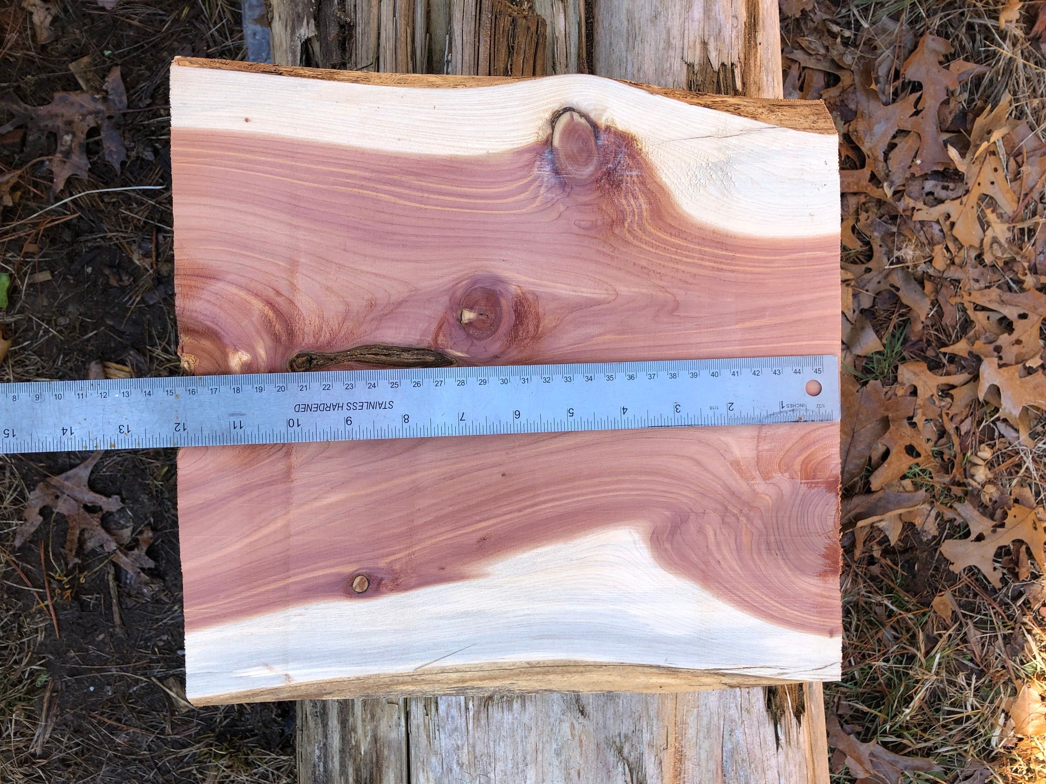 Raw Planed Red Cedar Plank Board 11.5” by 12” live edge